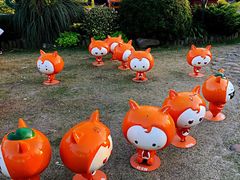 -上海长兴岛郊野公园