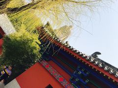 -石岛赤山风景区