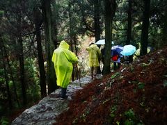 -南岳衡山风景名胜区