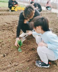 点击看大图 -麦粒鸟亲子游