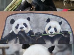 -栾川竹海野生动物园