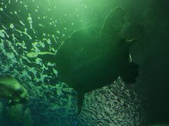 -北戴河圣蓝海洋公园