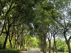 -常州奔牛国际机场