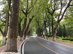 -棒棰岛宾馆景区