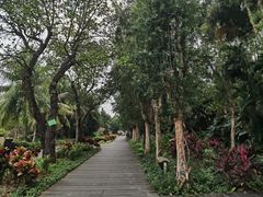 -中澳友谊花园