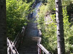 -汤旺河林海奇石景区