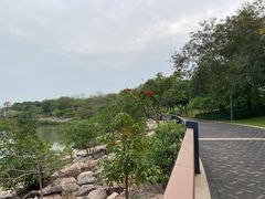 -深圳湾公园(南山区)