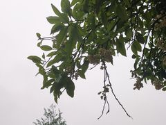 -沙河三洞古桥公园