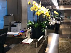 -上海佘山世茂艾美酒店