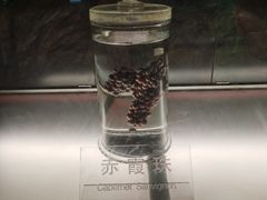 -青岛葡萄酒博物馆