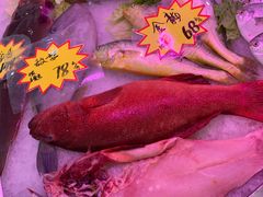 -金华安大酒楼·老牌潮菜·粤式茶点(东方国际店)