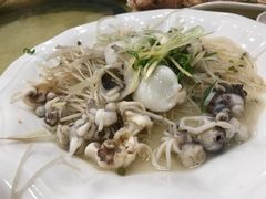 -鸿达渔港