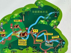 -西双版纳原始森林公园
