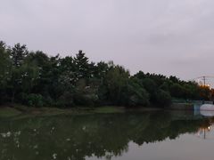 -南翔镇银翔湖公园
