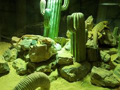 -海合安武汉极地海洋公园