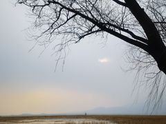 -野鸭湖国家湿地公园