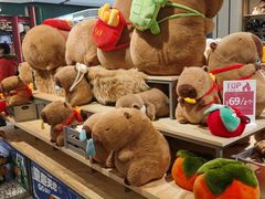 -TheGreenParty(槐房万达店)