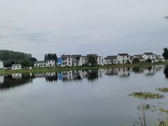 -渌洋湖湿地公园