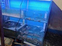 -面道赞宁海海鲜面(迎凤街店)