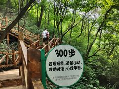 -大岭沟猕猴桃谷风景区