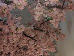 大堂-活鳗饭·鹅肝范儿(高碑店店)