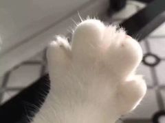 -宝宇大连海鲜渔港(金奎大厦店)