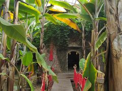 -呀路古热带植物园