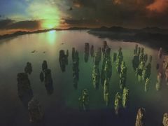 -自贡恐龙博物馆