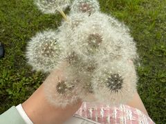 -苏州独墅湖体育馆