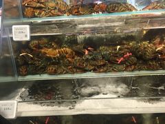 波士顿龙虾-超级物种·波龙工坊(国贸店)