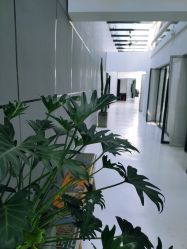 -无界瑜伽普拉提