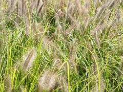 -汉长安城未央宫国家考古遗址公园