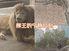 -南昌动物园