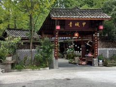 -青城甲(青城山店)