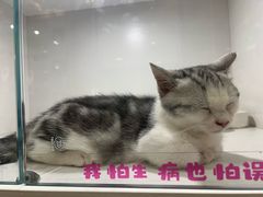 -杭州来福士中心