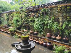 -青城甲(青城山店)