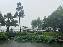 -杭州西湖柳莺里酒店·闻莺厅