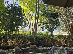 -凤翔首邑温泉度假村