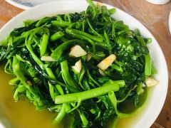 -东吴霸王兔(松青路店)