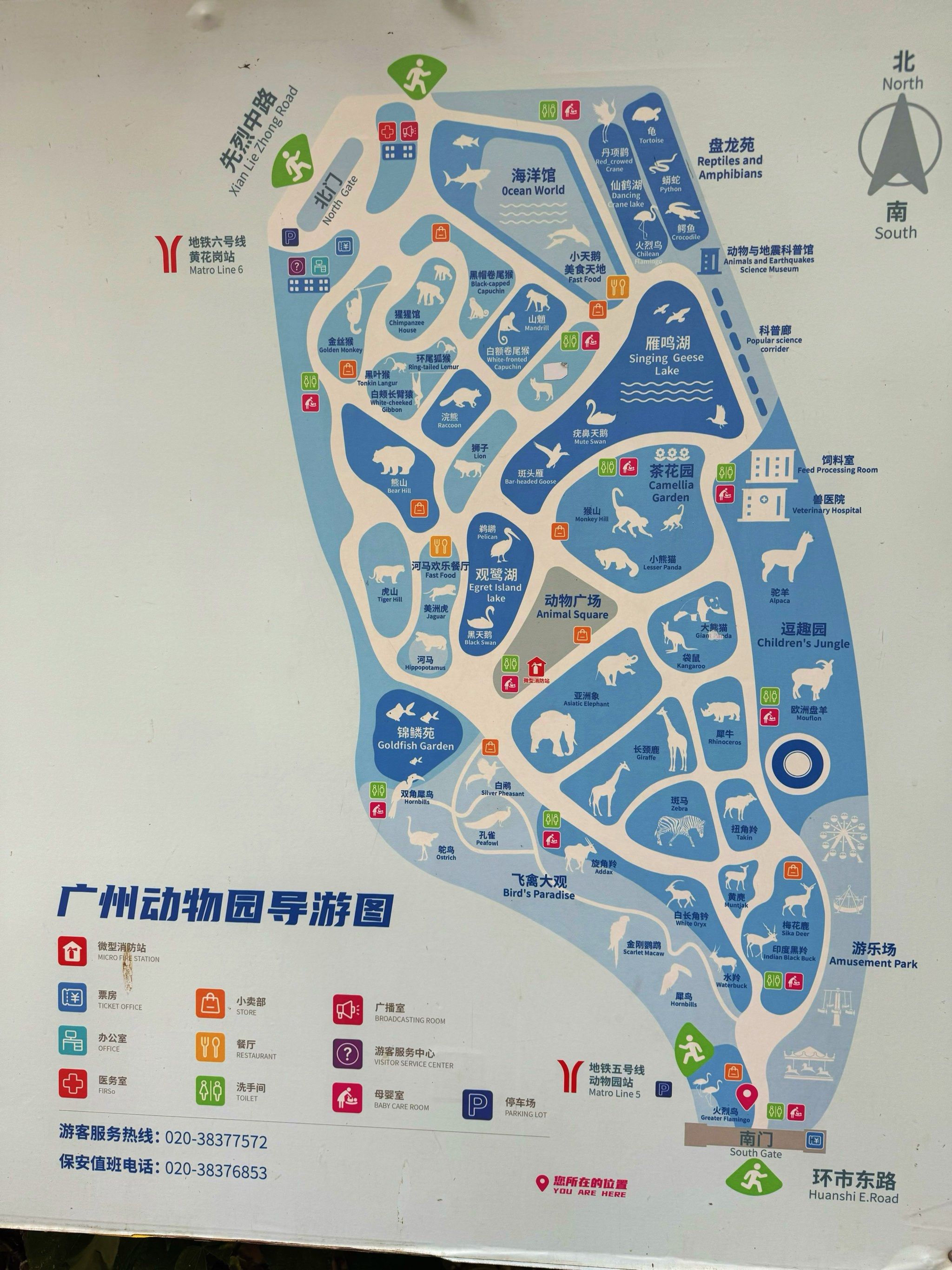 又来广州动物园啦