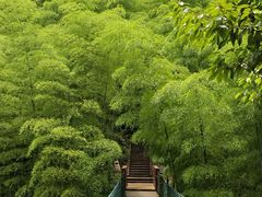 -众神白水涧景区