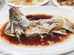 清蒸加州鲈鱼-京都老蔡记(瑞达路店)