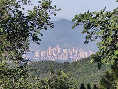 -香山公园