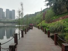 -重庆彩云湖湿地公园