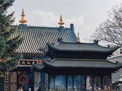 -护国法轮寺