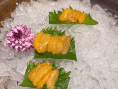 -月龍吟(朝龙汇店)