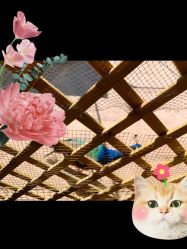 -萌宠亲子动物乐园(槐房万达店)