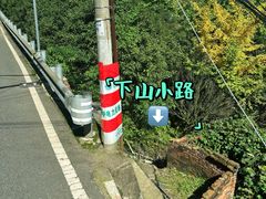 -凤栖山