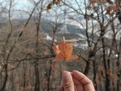 -帽儿山国家森林公园