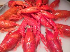 -红盔甲·小龙虾(天钥桥店)